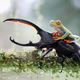 Illustration for article titled The finalists for 2014s Sony World Photography Awards are outstanding